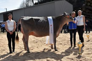 4Junior Champion